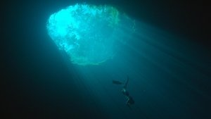 undefined Images